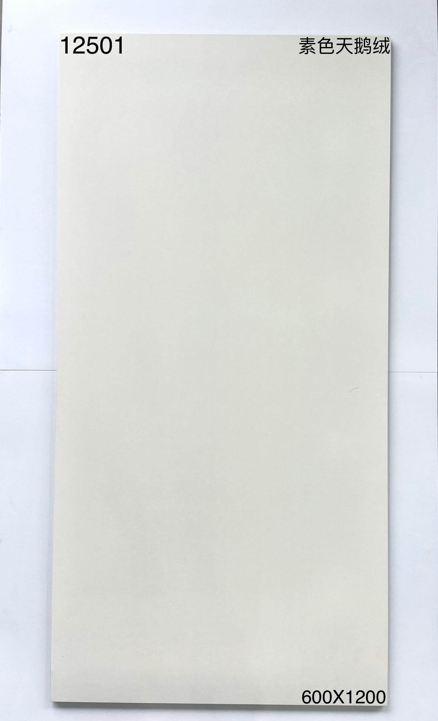 600*1200MM瓷磚-12501-柔光面 鴻圖80建材城
