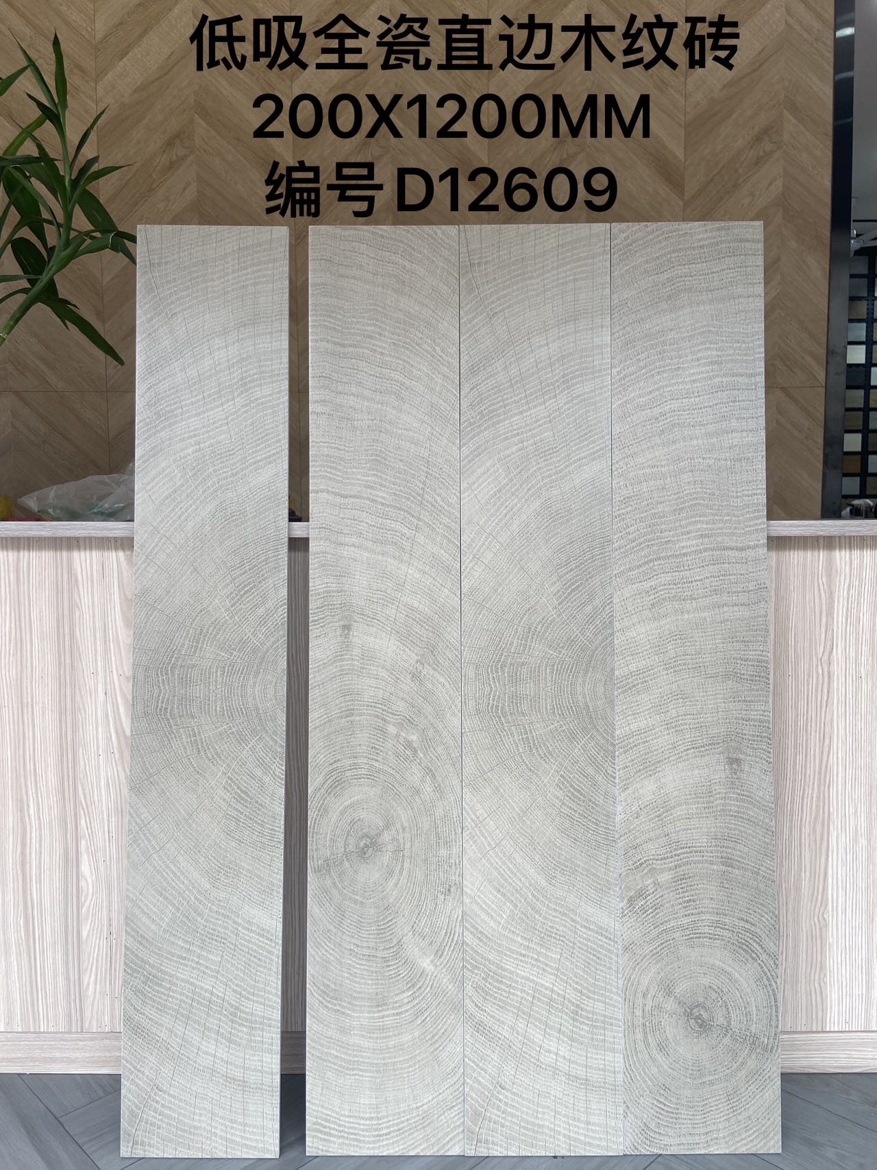 200*1200mm木紋磚-D12609 鴻圖80建材城