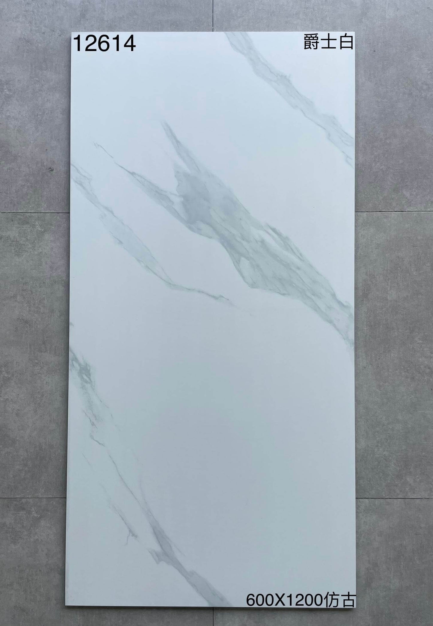 600*1200MM瓷磚-12614-啞面 鴻圖80建材城