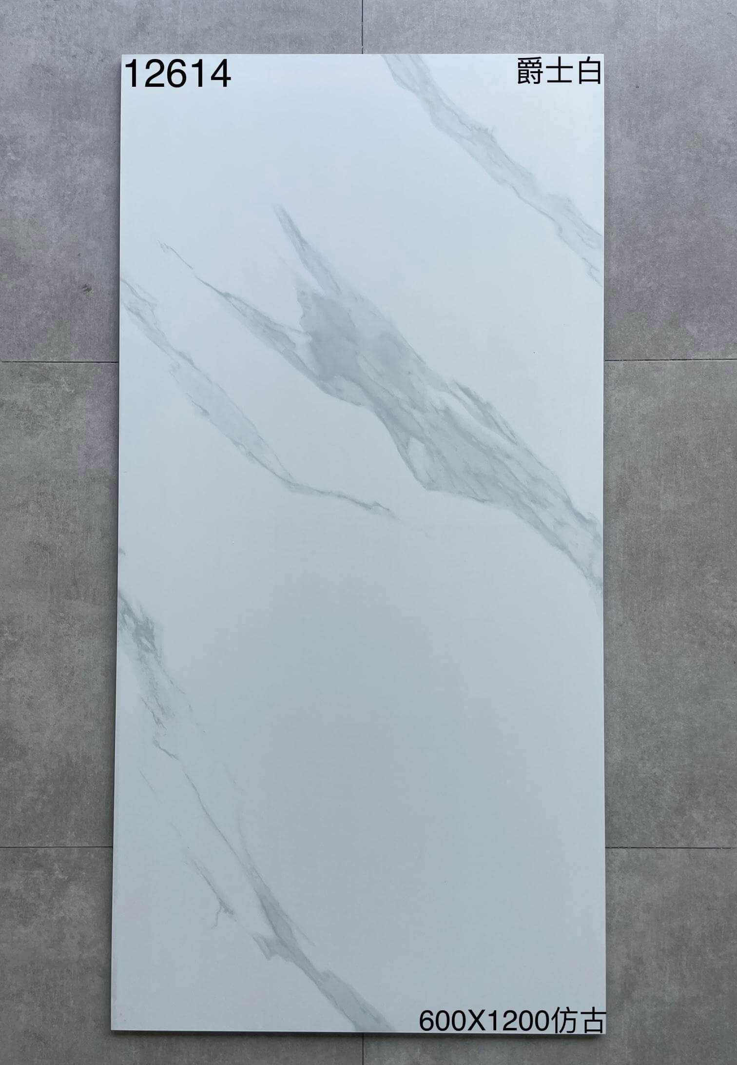 600*1200MM瓷磚-12614-啞面 鴻圖80建材城