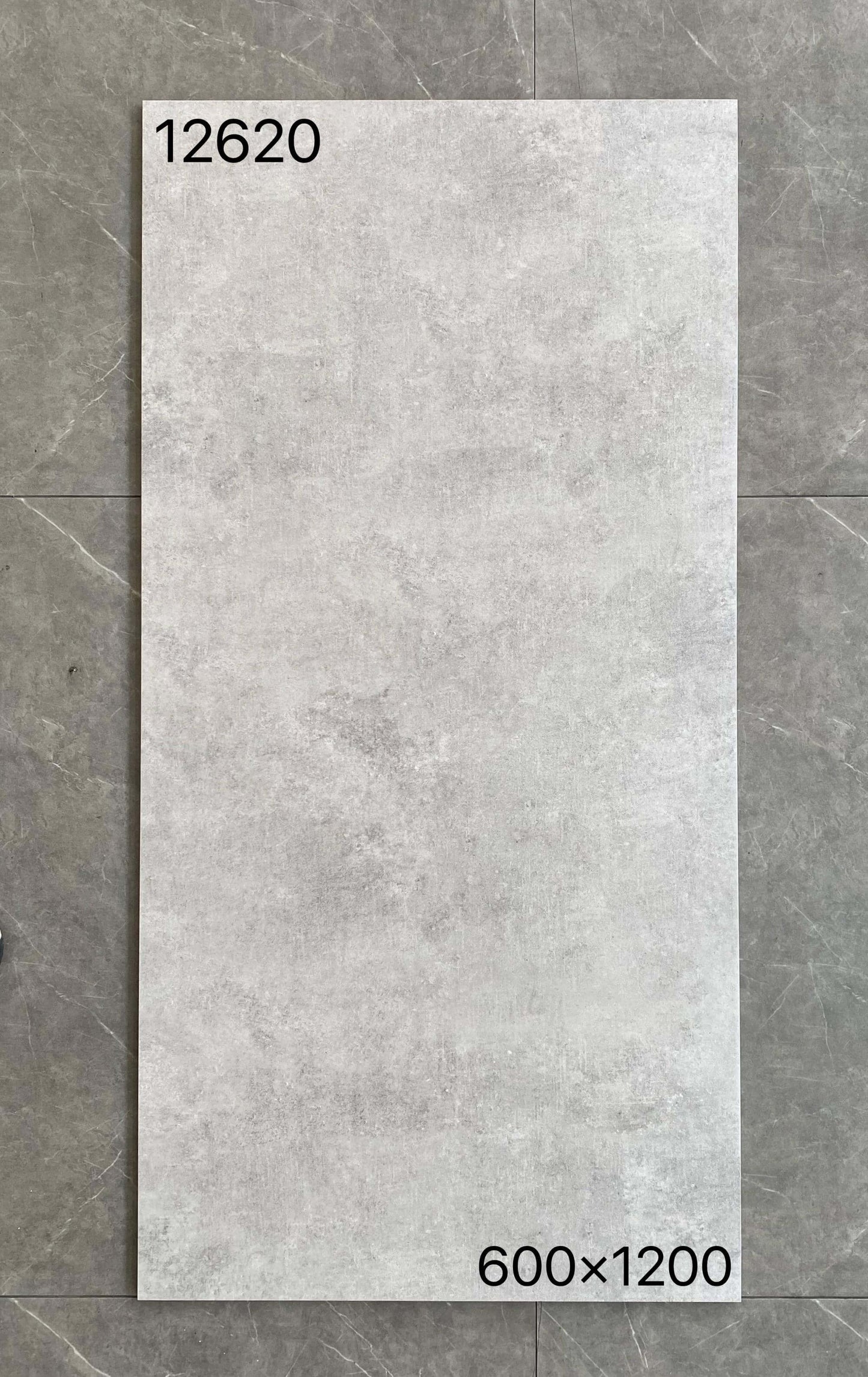 600*1200MM瓷磚-12620-啞面 鴻圖80建材城