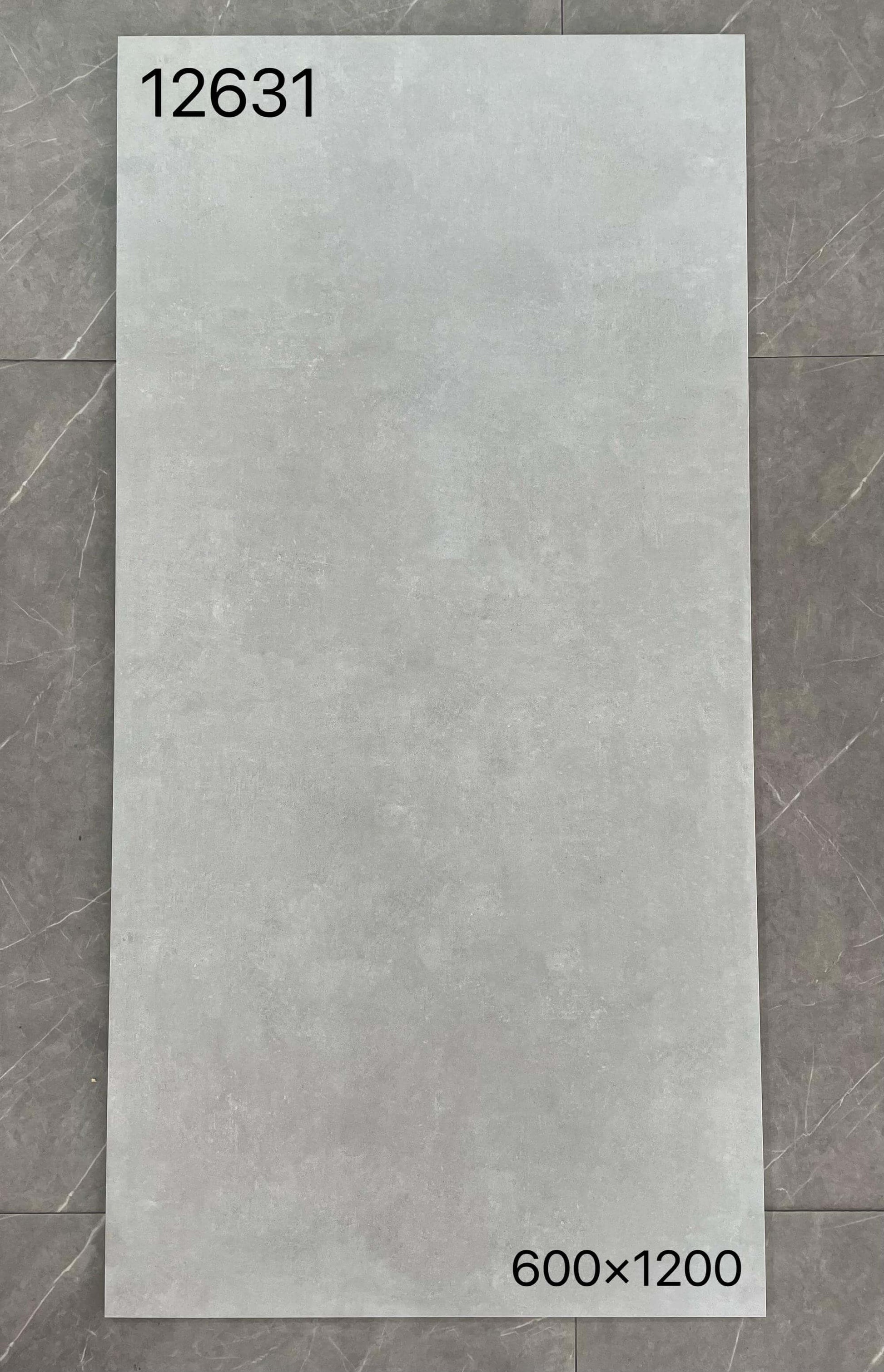 600*1200MM瓷磚12631-啞面 鴻圖80建材城