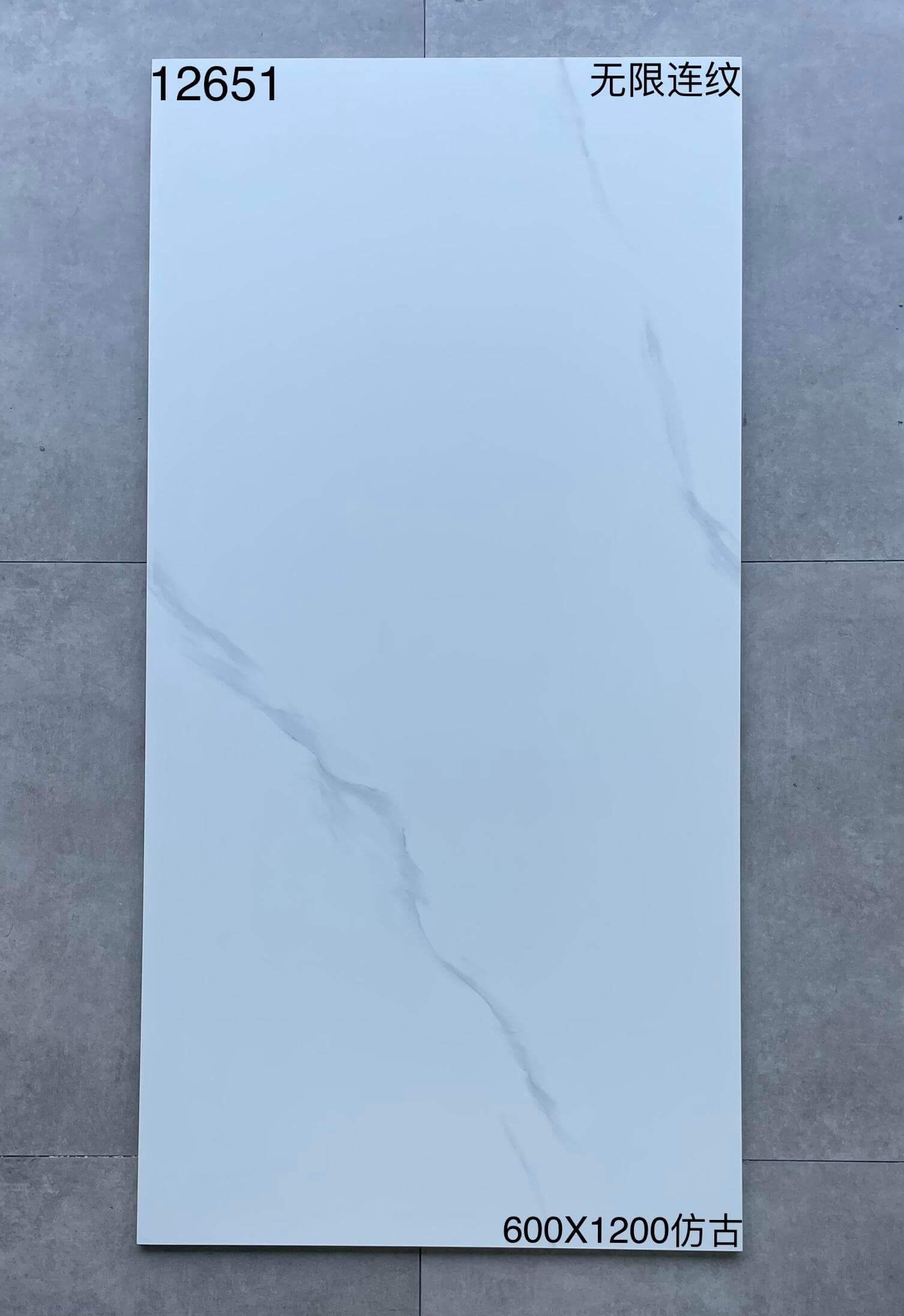 600*1200MM瓷磚12651-啞面 鴻圖80建材城