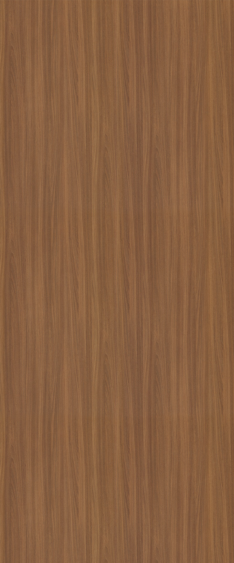 天然尤加利 8846 火立克