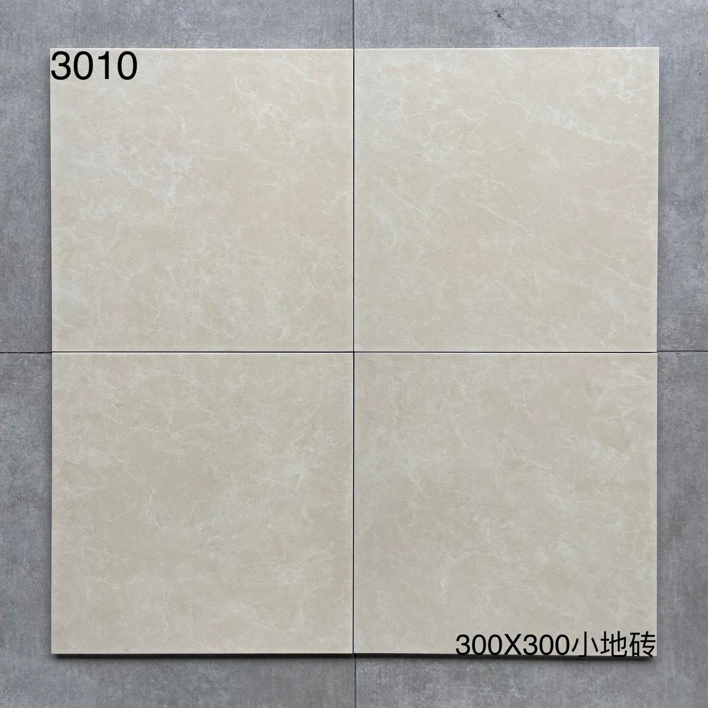 300*300MM瓷磚-3010 鴻圖80建材城