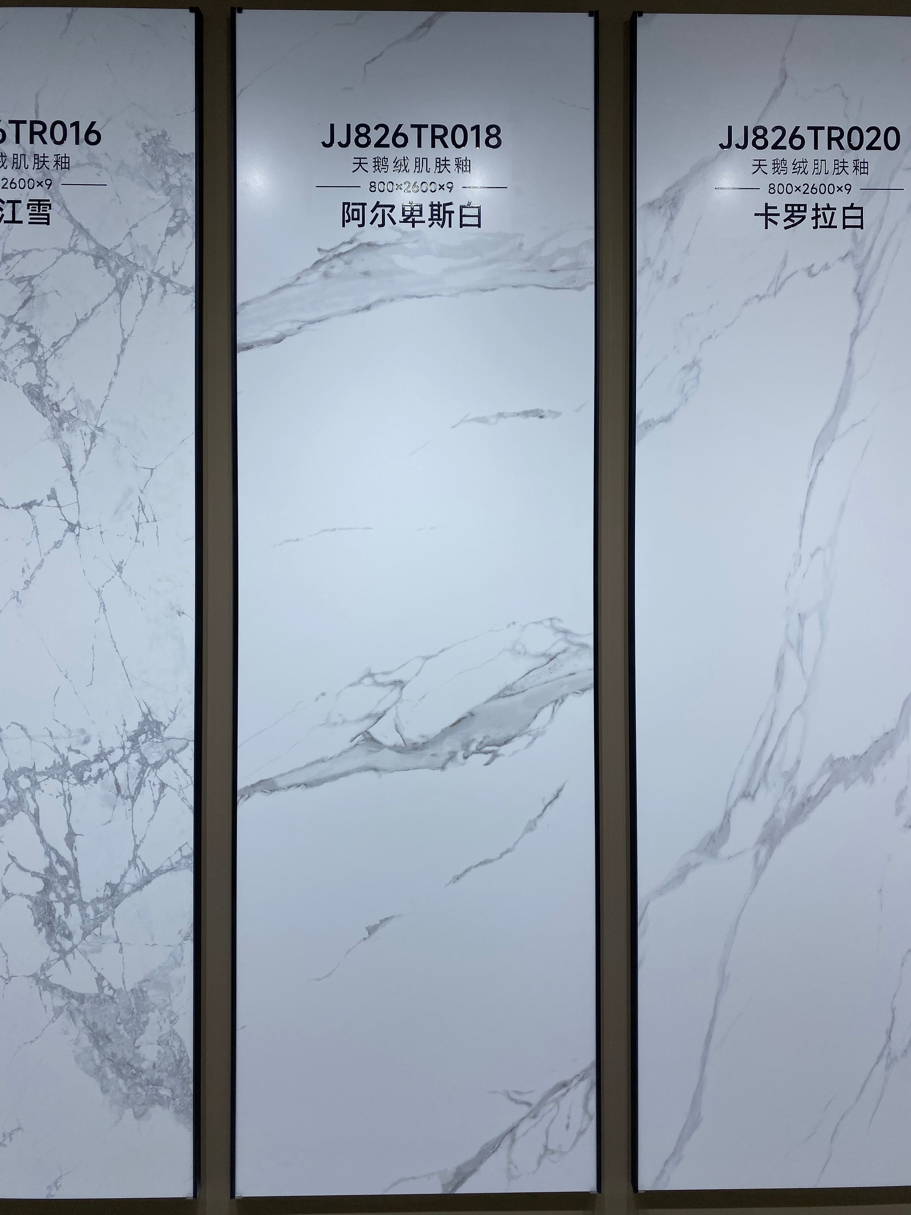 阿爾卑斯白岩板-絲滑面 （JJ826TR018） 鴻圖80建材城