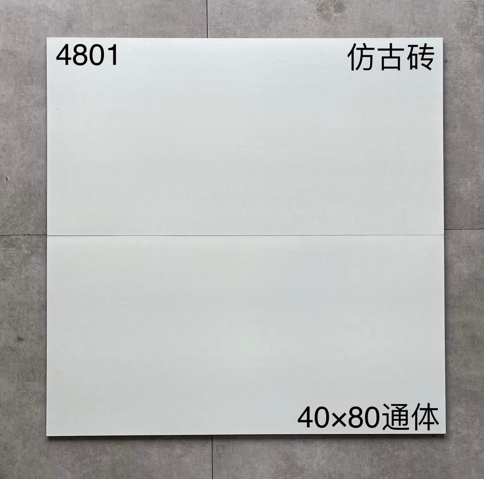 400*800MM中板瓷磚-4801 鴻圖80建材城