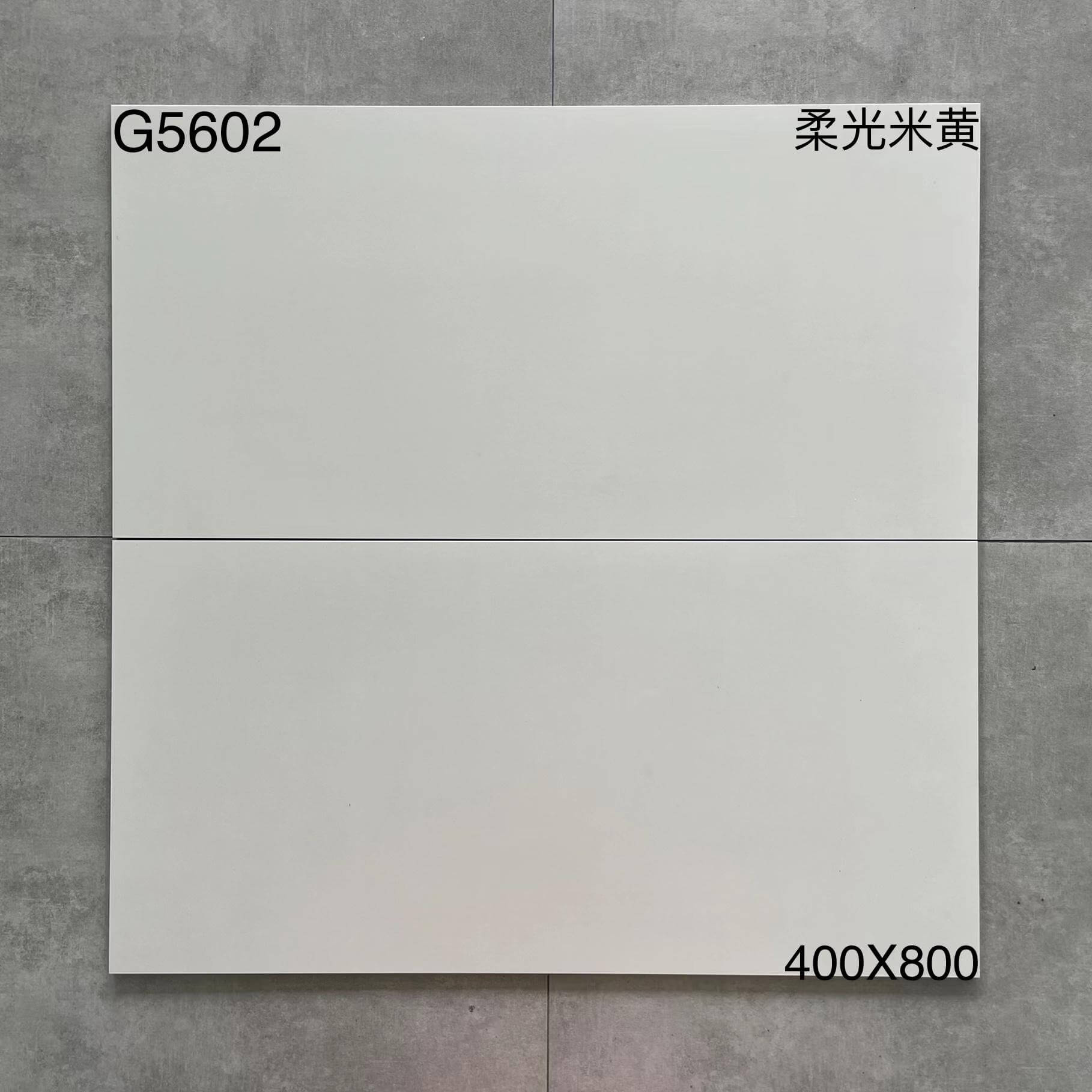 400*800MM中板瓷磚-5602 鴻圖80建材城
