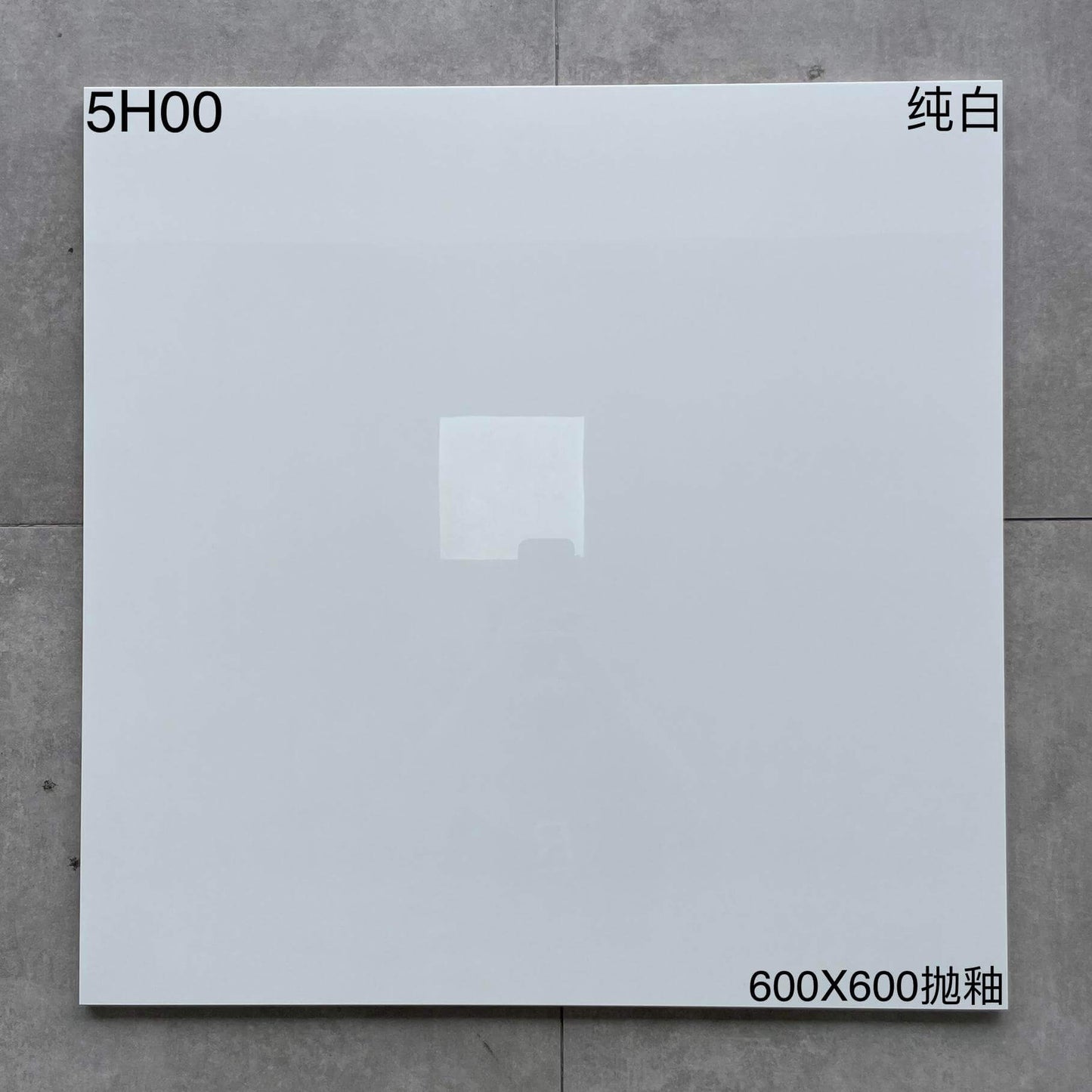 600*600高溫磚-5H00 鴻圖80建材城