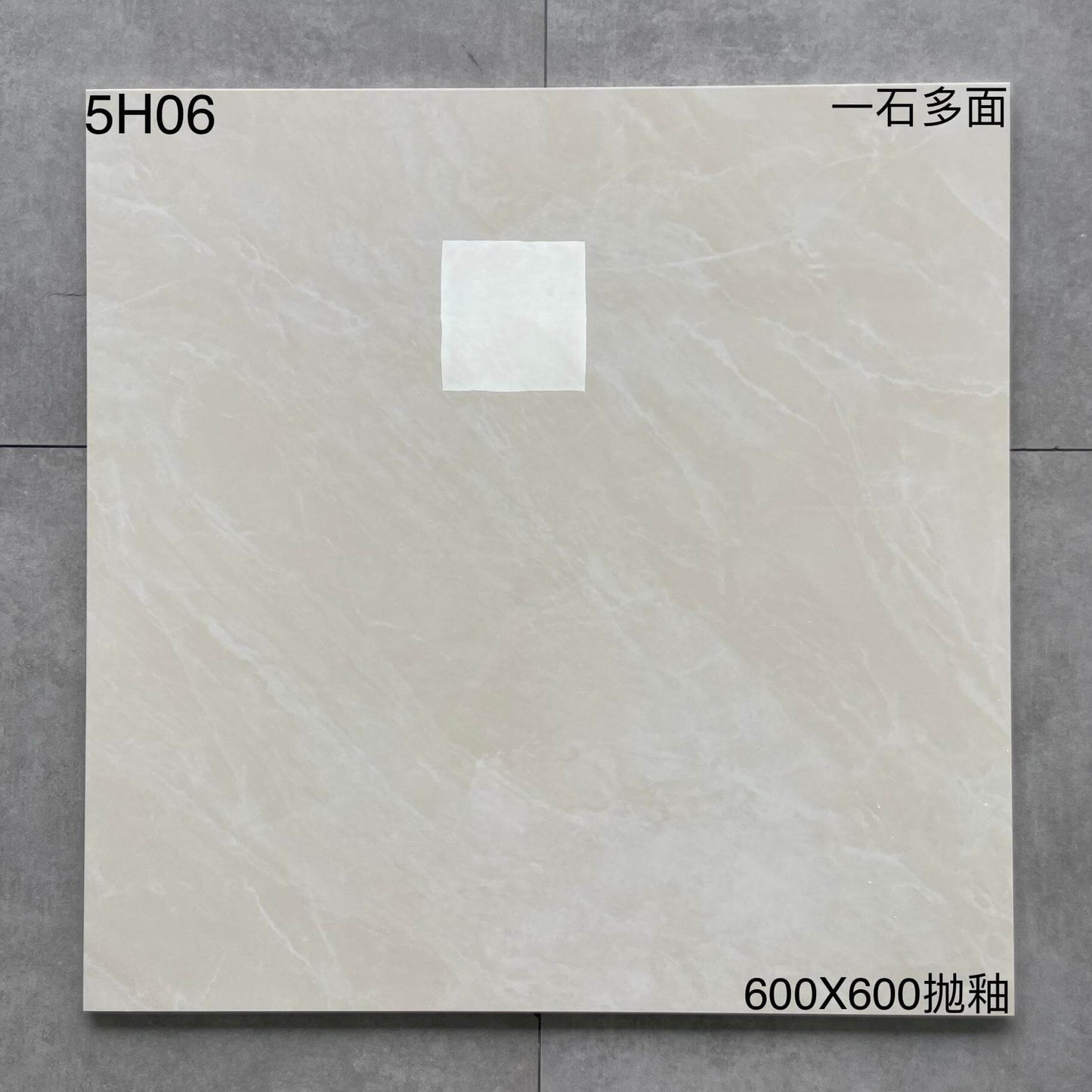 600*600高溫磚-5H06 鴻圖80建材城