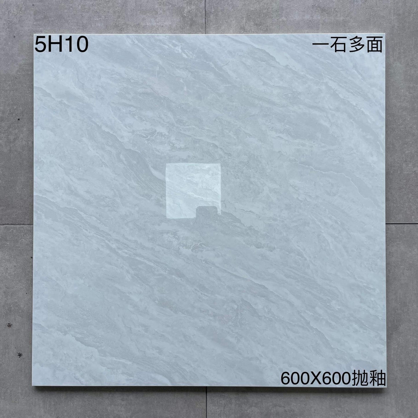 600*600高溫磚-5H10 鴻圖80建材城