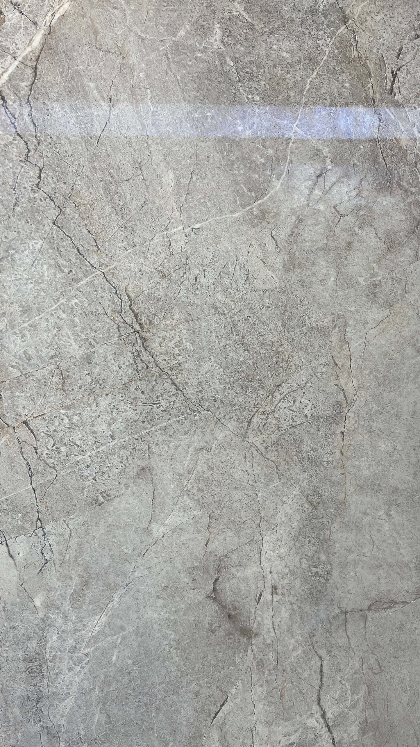 意大利雲灰岩板-亮光面（YY1224B404） 鴻圖80建材城