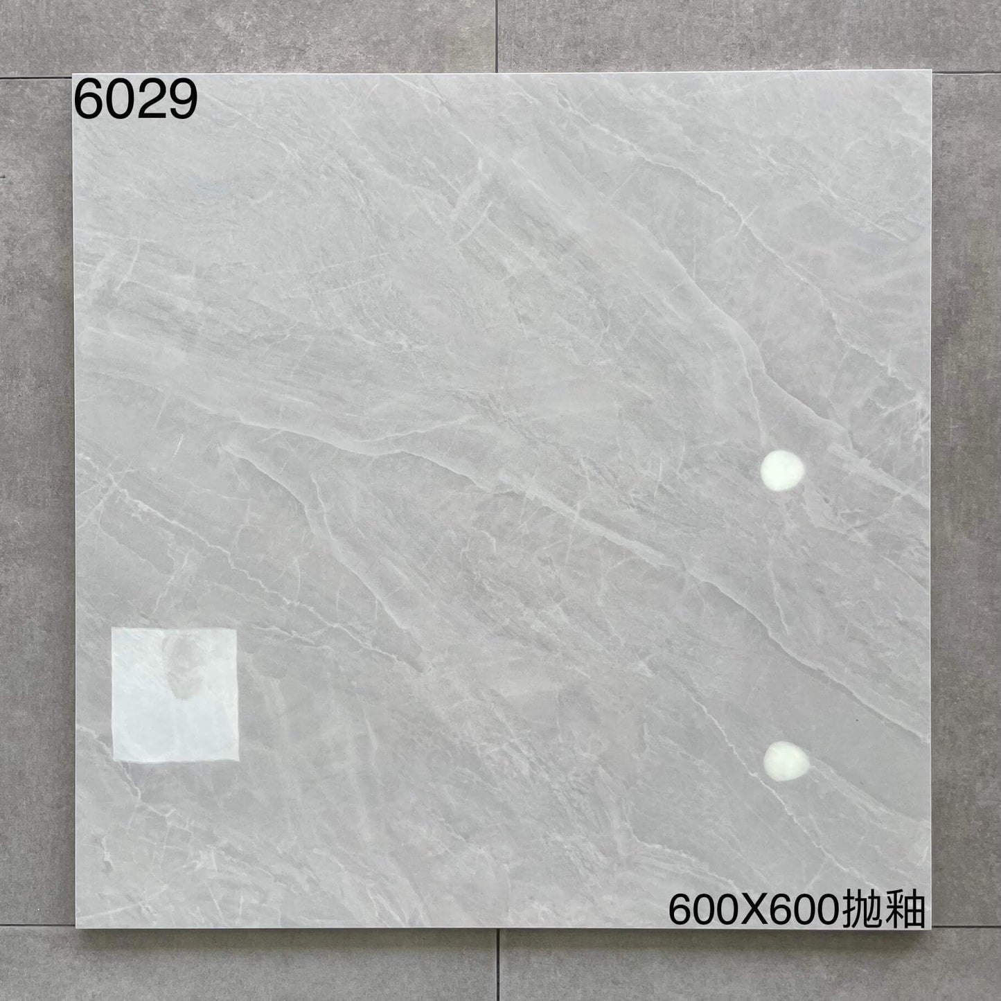 600*600高溫磚-6029 鴻圖80建材城