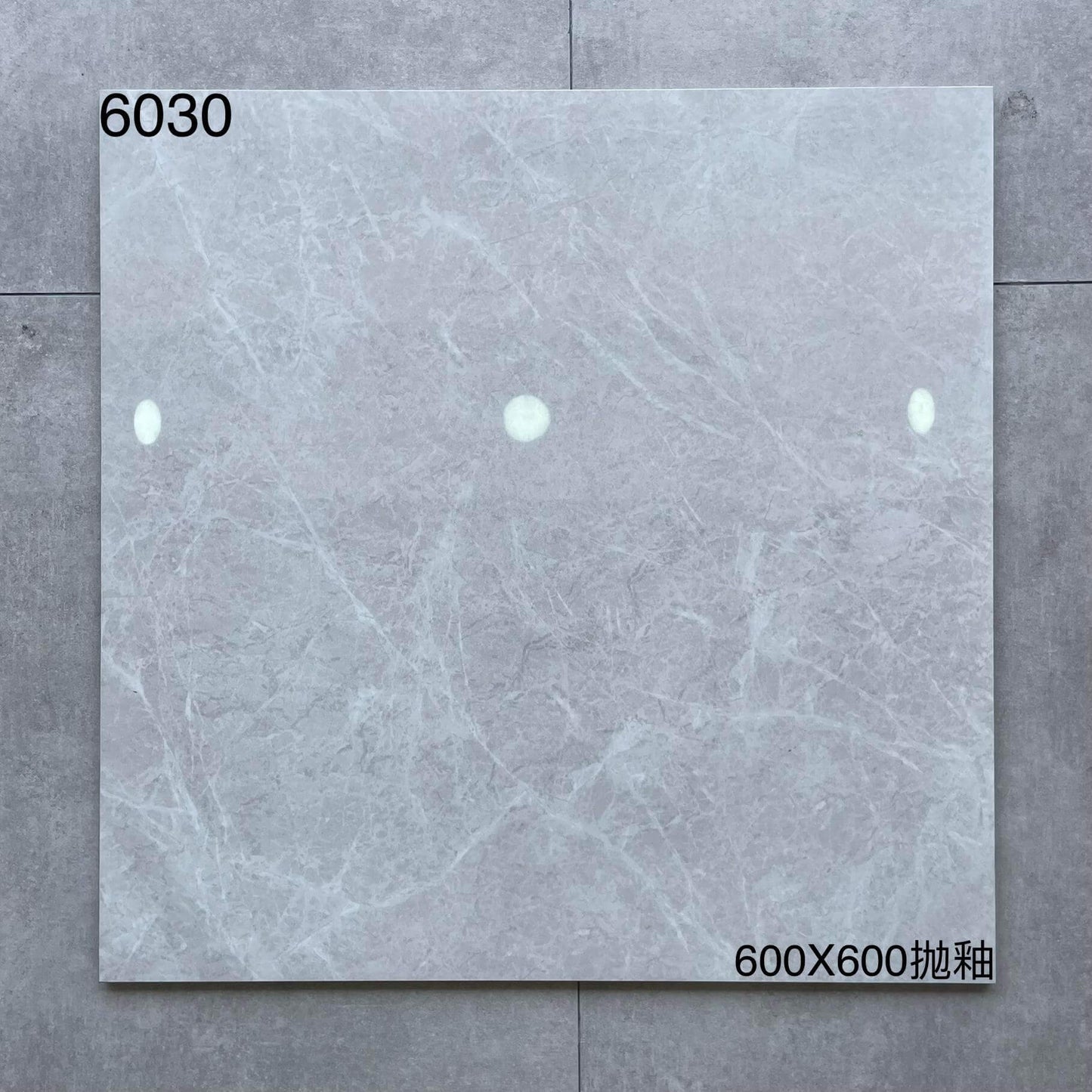 600*600高溫磚-6030 鴻圖80建材城
