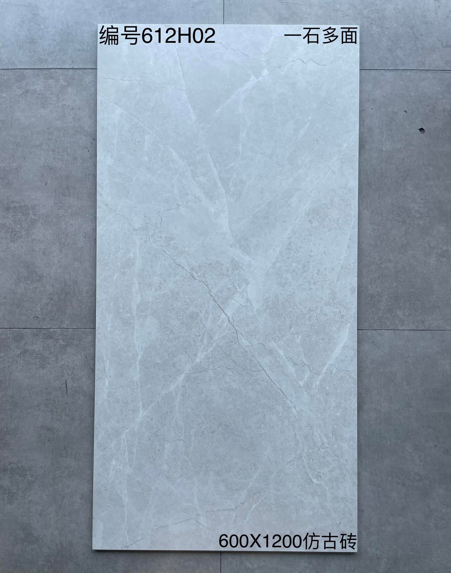 600*1200MM瓷磚-612H02-啞面 鴻圖80建材城