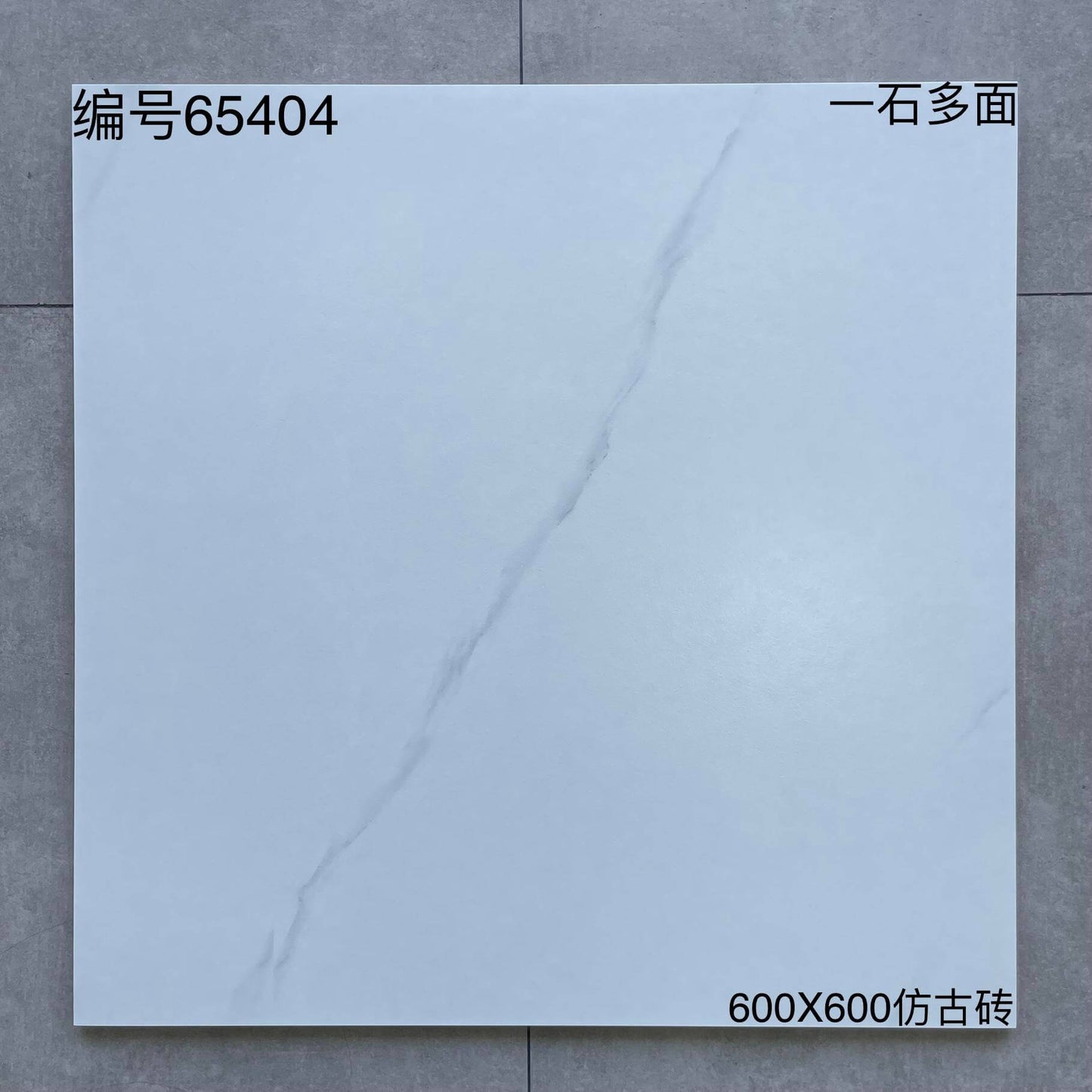 600*600高溫磚-65404 鴻圖80建材城