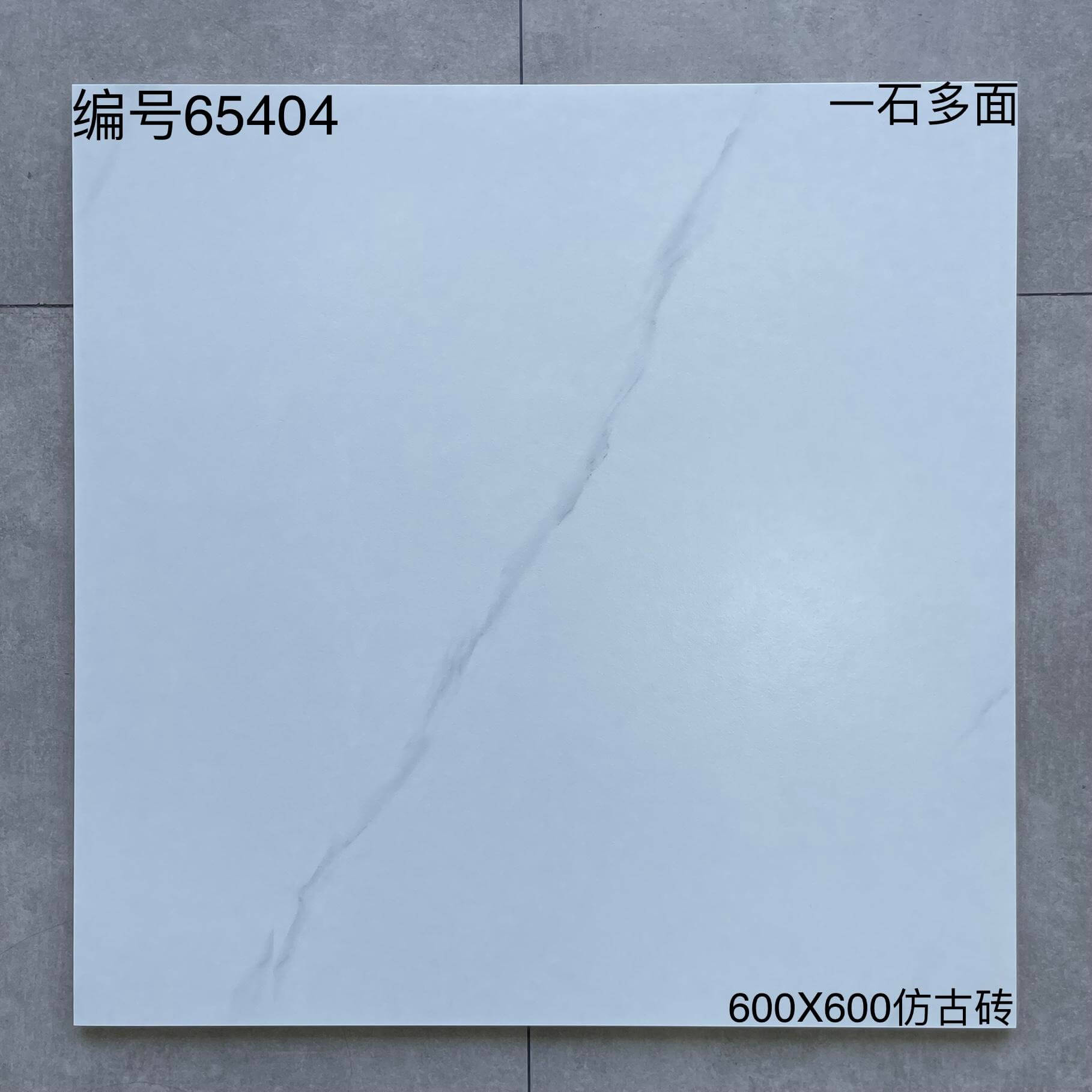 600*600高溫磚-65404 鴻圖80建材城
