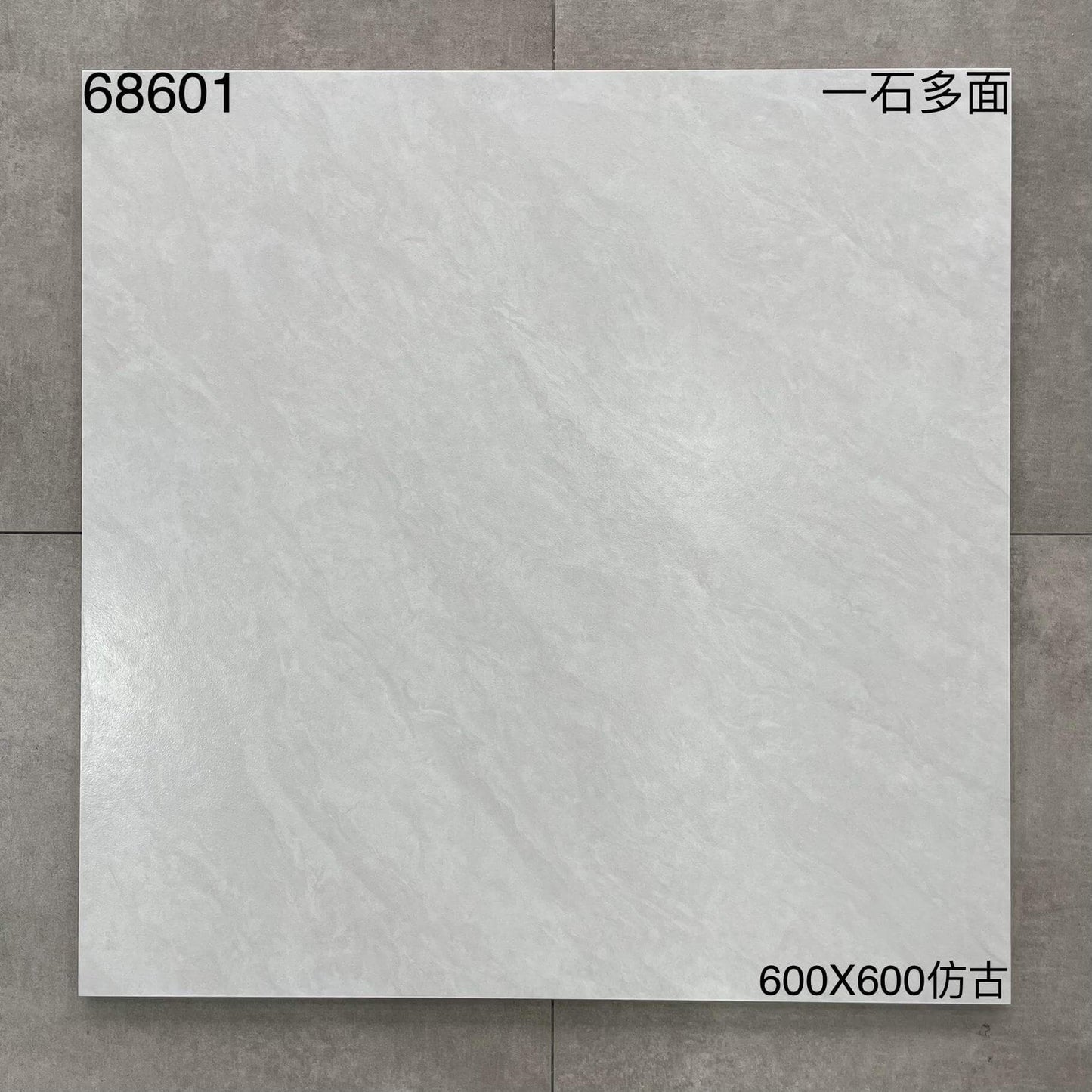 600*600高溫磚-68601 鴻圖80建材城