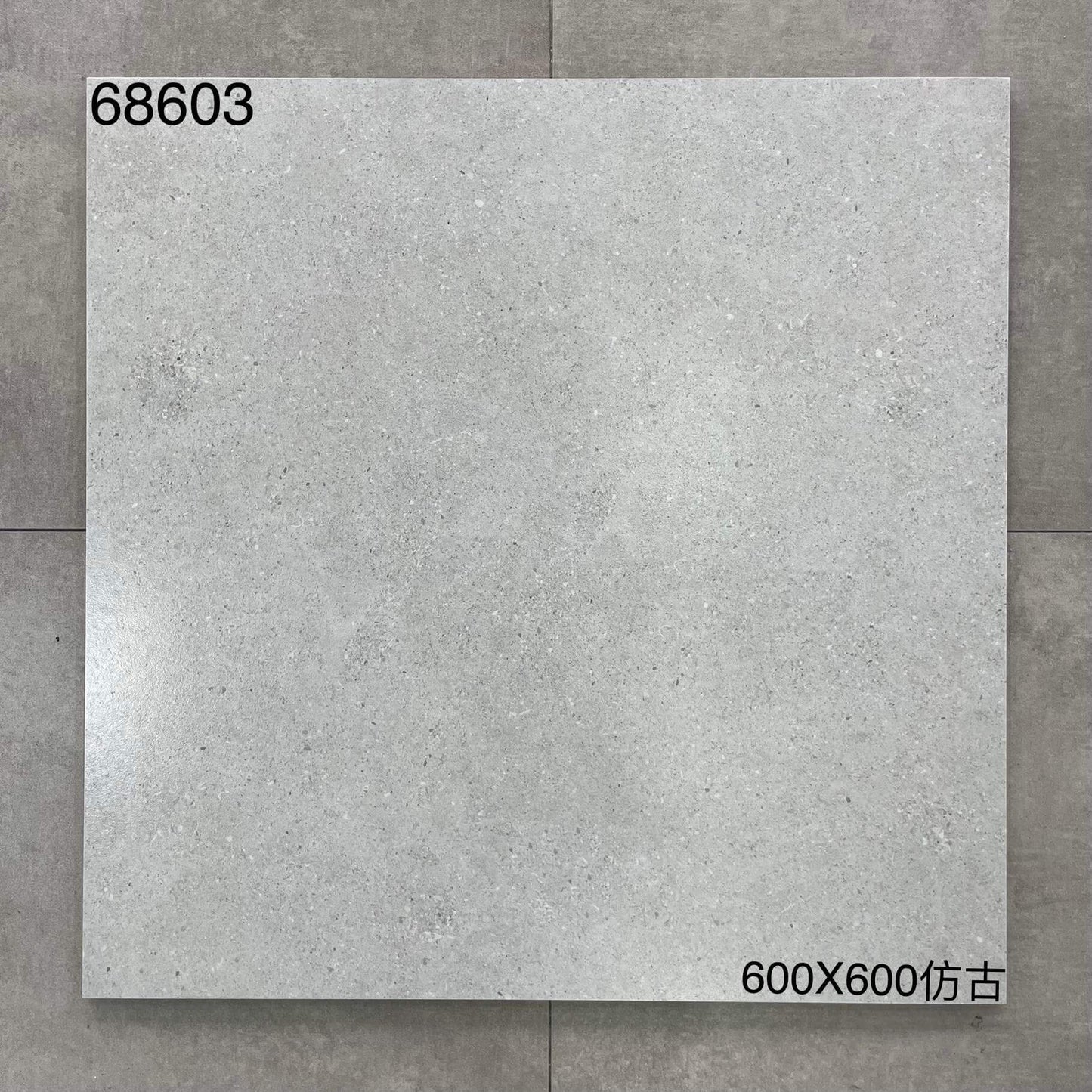 600*600高溫磚-68603 鴻圖80建材城