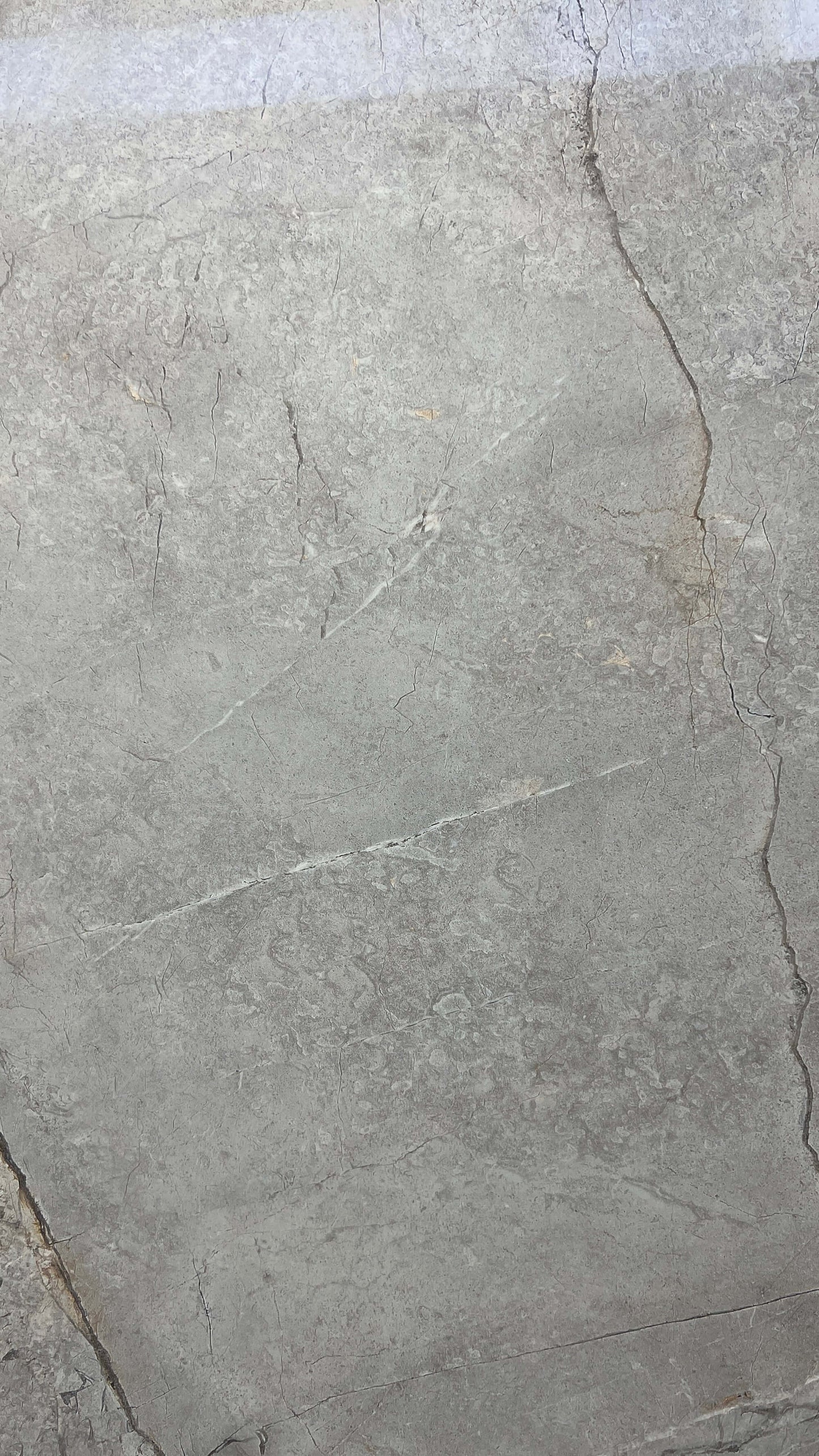 意大利雲灰岩板-亮光面（YY1224B404） 鴻圖80建材城