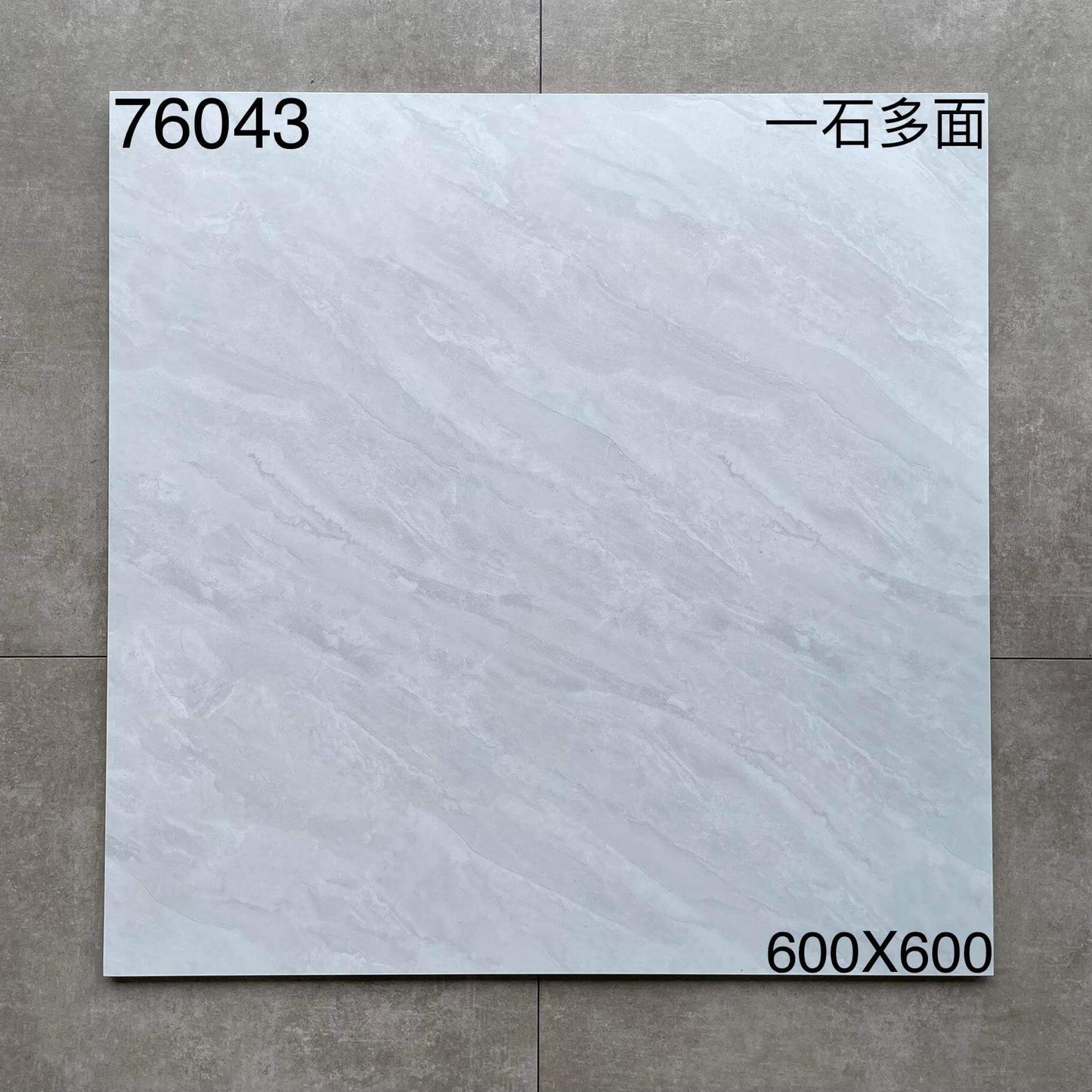 600*600高溫磚-76043 鴻圖80建材城