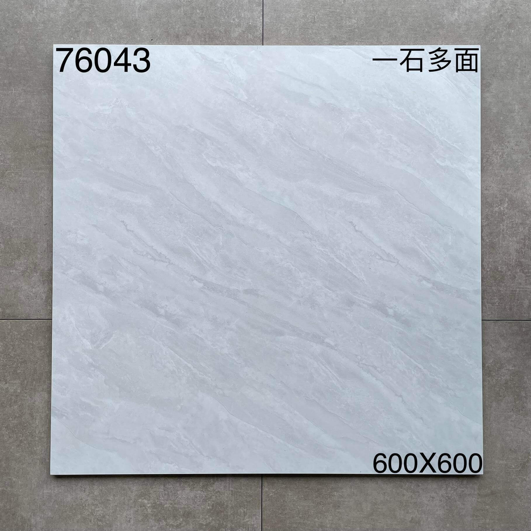 600*600高溫磚-76043 鴻圖80建材城