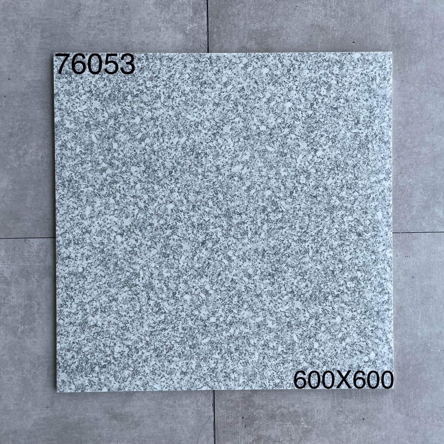 600*600高溫磚-76053 鴻圖80建材城