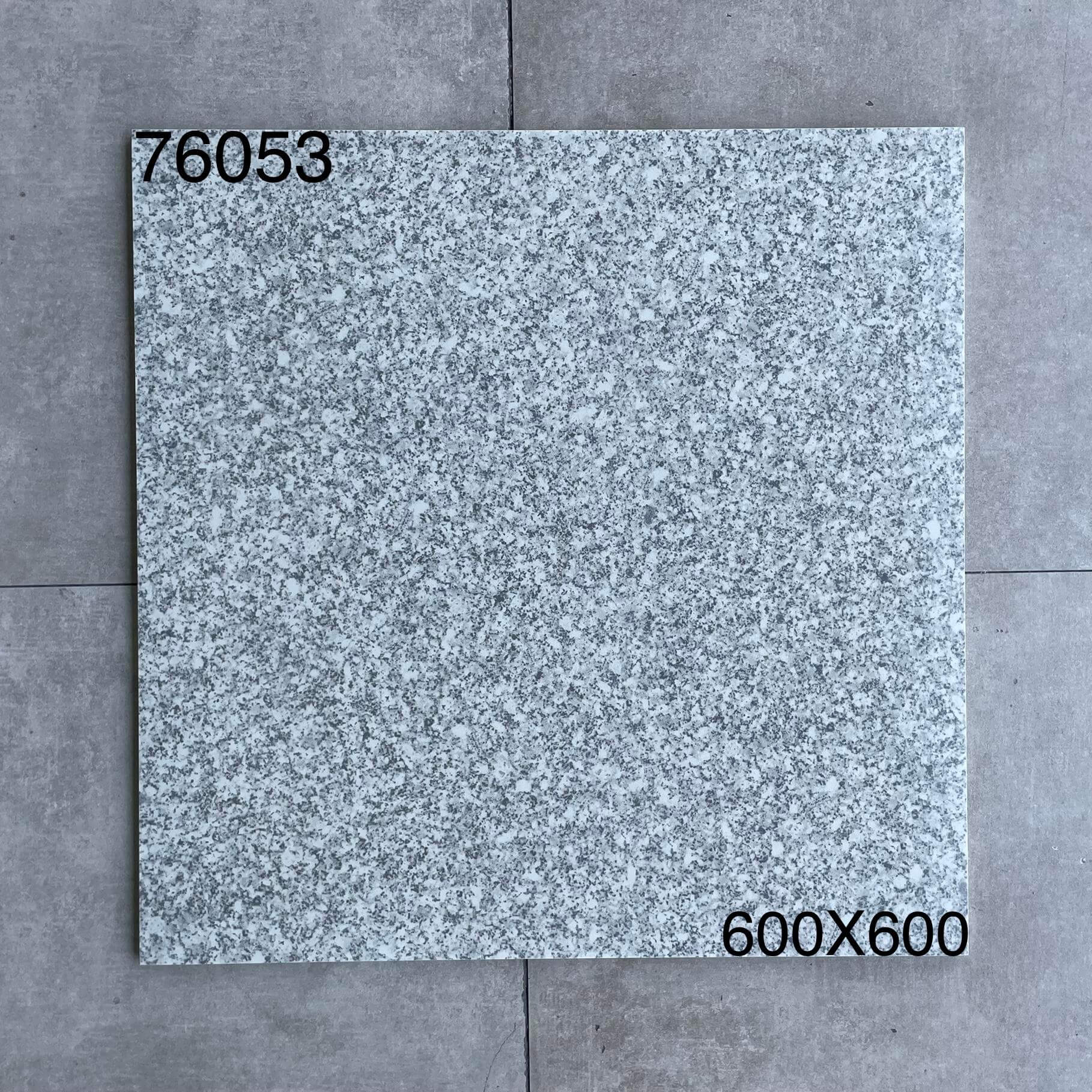 600*600高溫磚-76053 鴻圖80建材城