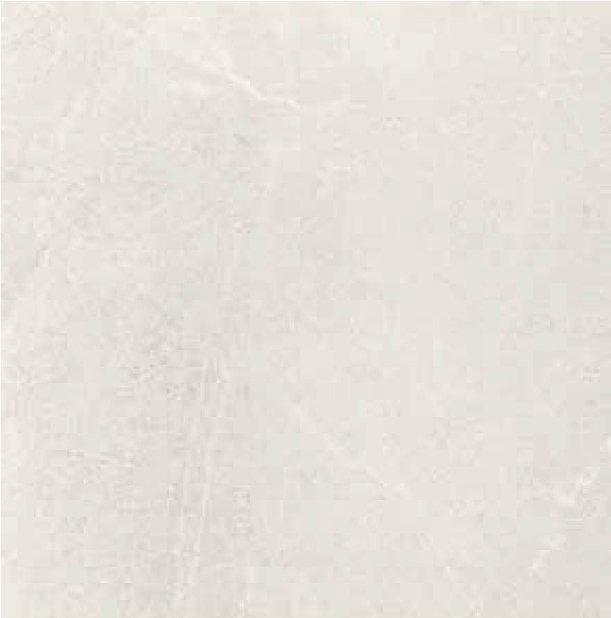 ALFALUX - Pietre Pure 白色石紋磚 595mm X 595mm