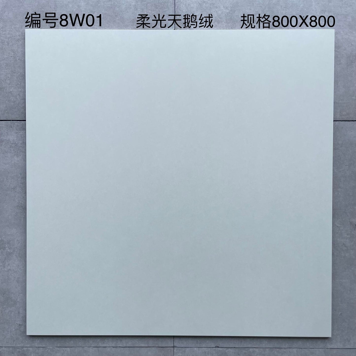 8W01 800mmX800mm柔光天鵝絨瓷磚 鴻圖80建材城
