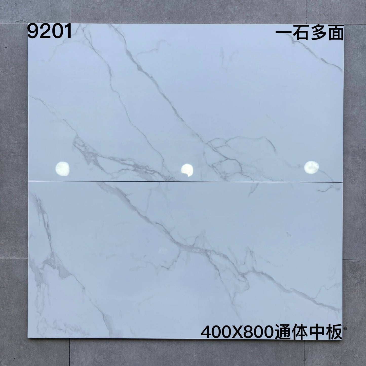 400*800MM中板瓷磚-9201 鴻圖80建材城
