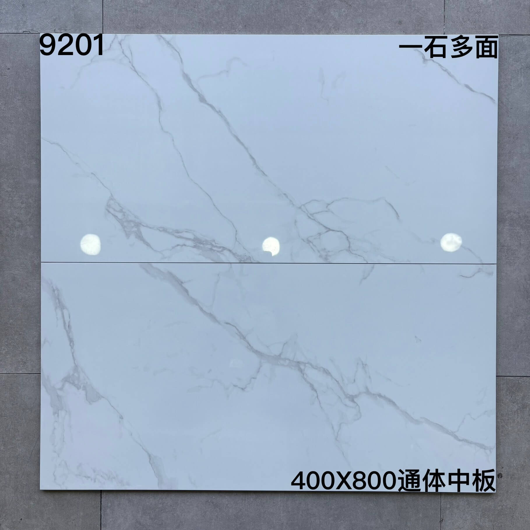 400*800MM中板瓷磚-9201 鴻圖80建材城