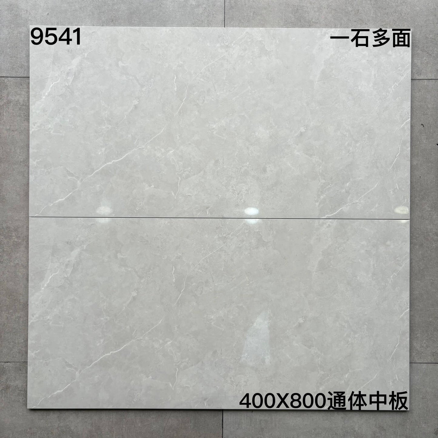 400*800MM中板瓷磚-9541 鴻圖80建材城