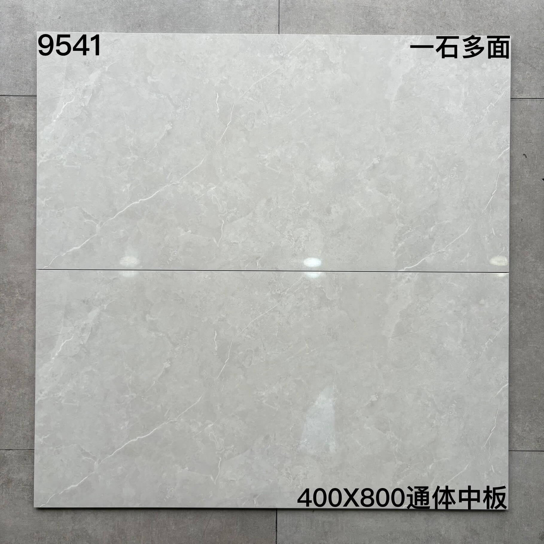 400*800MM中板瓷磚-9541 鴻圖80建材城