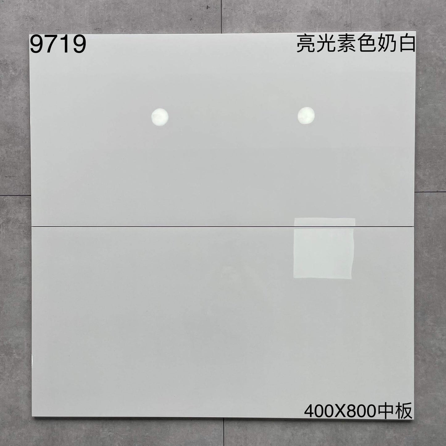 400*800MM中板瓷磚-9719 鴻圖80建材城