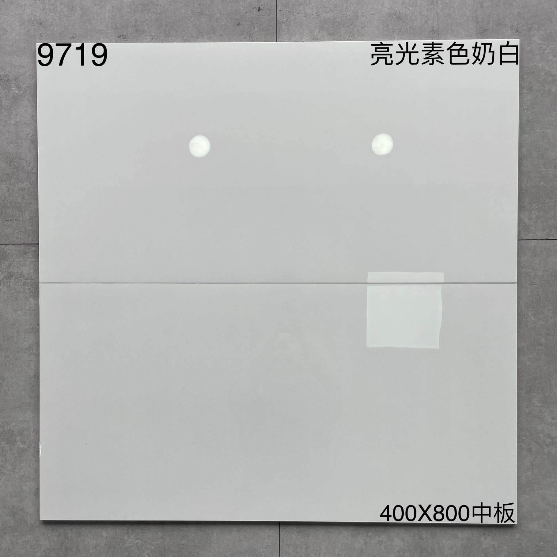 400*800MM中板瓷磚-9719 鴻圖80建材城