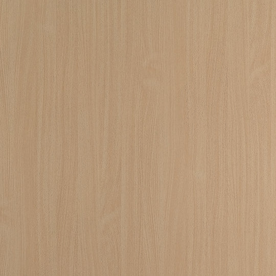 白山毛櫸 2726  火立克