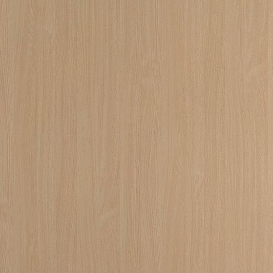 白山毛櫸 2726  火立克