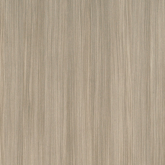 橄欖紅豆杉 A0861 火立克