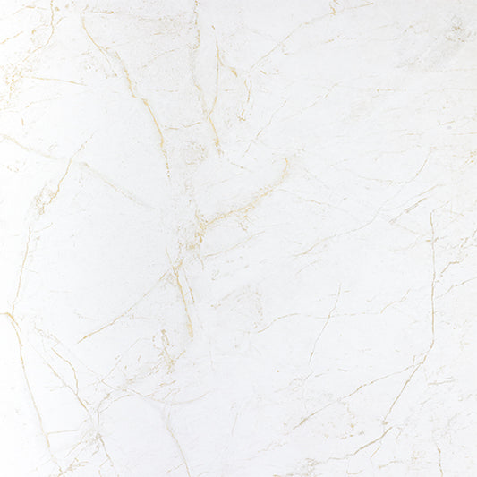 金砂之城7377 火立克